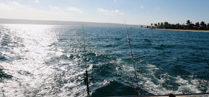 Deep-Sea Fishing Day Trips