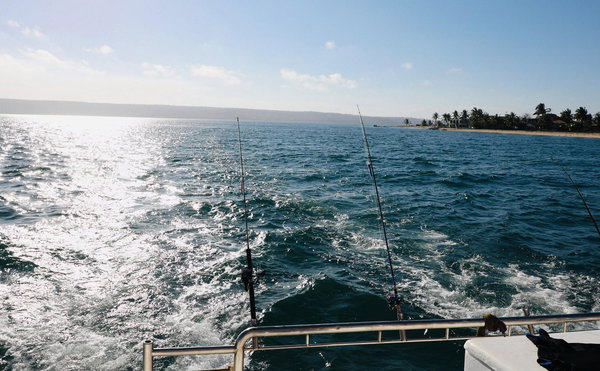 Deep-Sea Fishing Day Trips