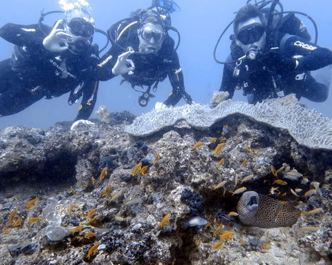 Scuba Diving
