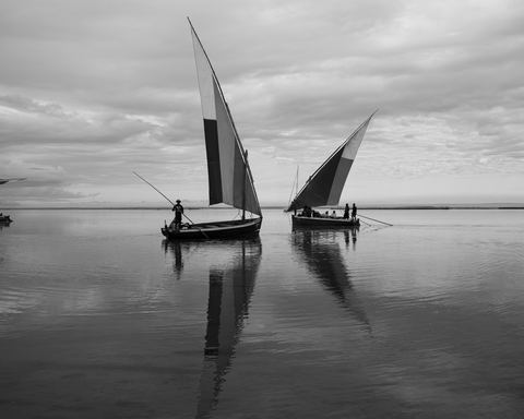 Dhow Trips