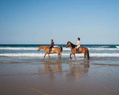 Horse Riding