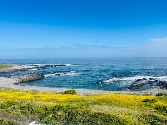 Beach view and hiking trail at Grotto Bay