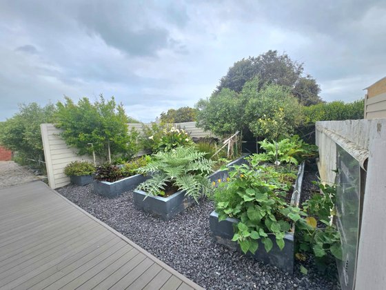 Vegetable, herb and fruit garden