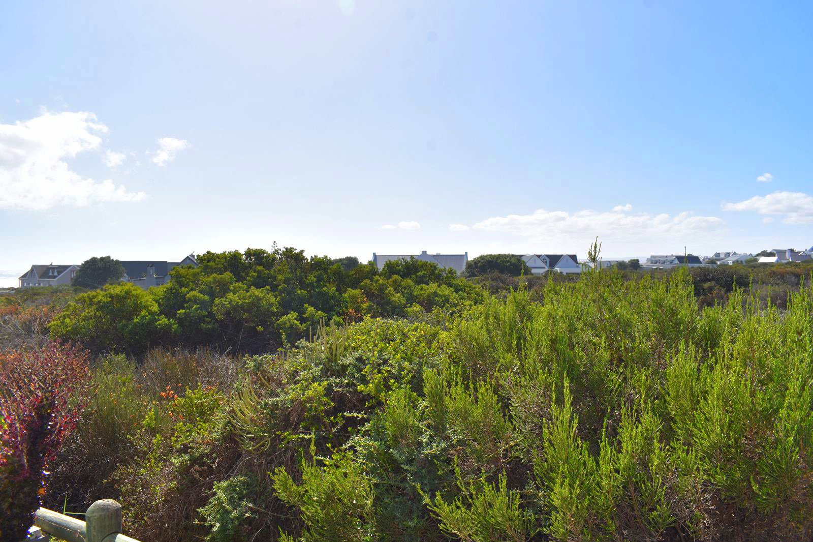 View from the pool deck over fynbos towards the neighbouring property