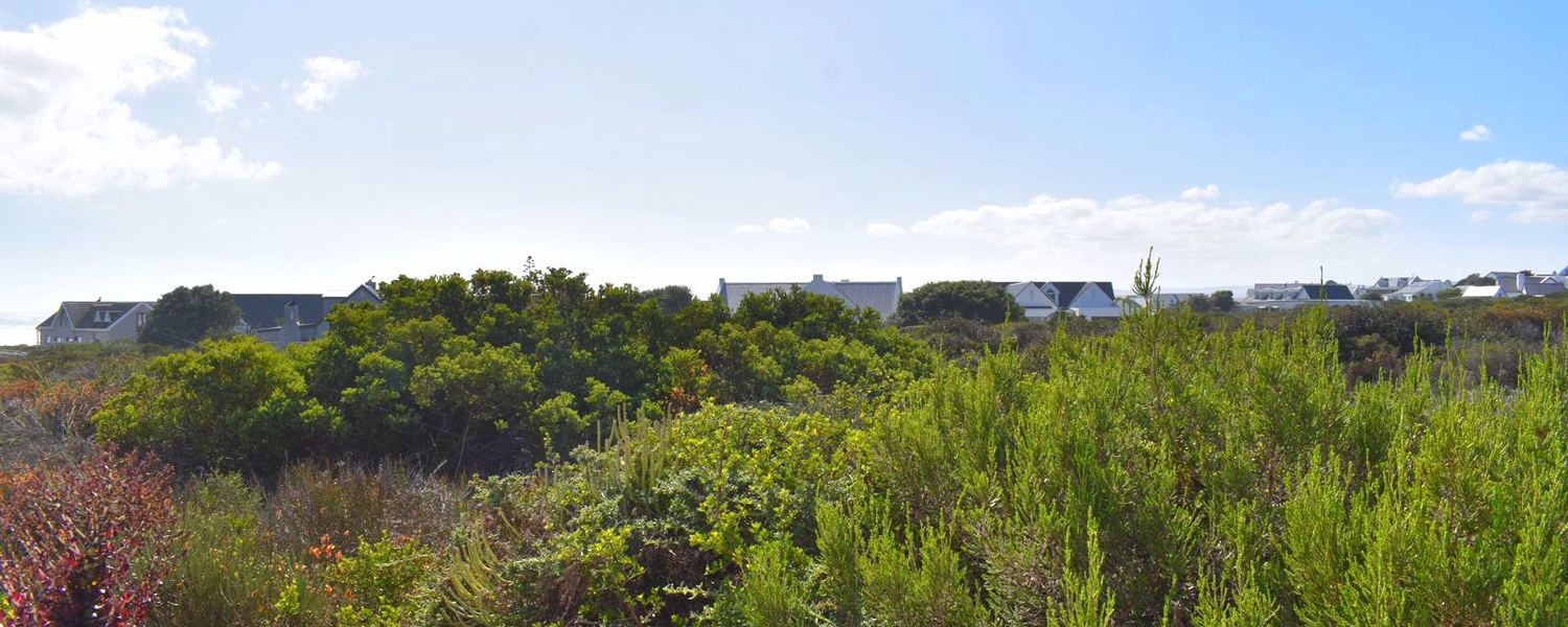 View from the pool deck over fynbos towards the neighbouring property