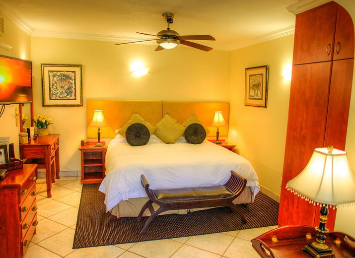 The Cheetah Room - Large Superior Room