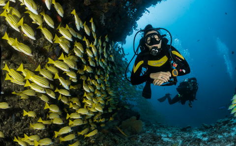 Two scuba divers exploring a reef in clear warm water