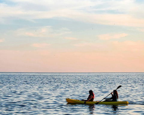 Kayaking with seals