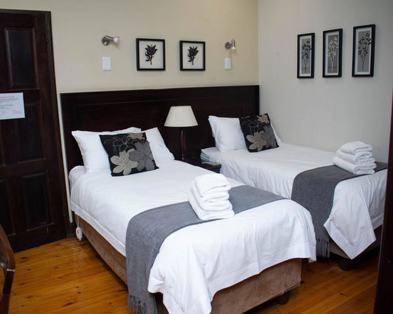 Luxury Twin Room