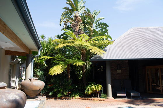 Goodeys Premier Guesthouse pool and braai area