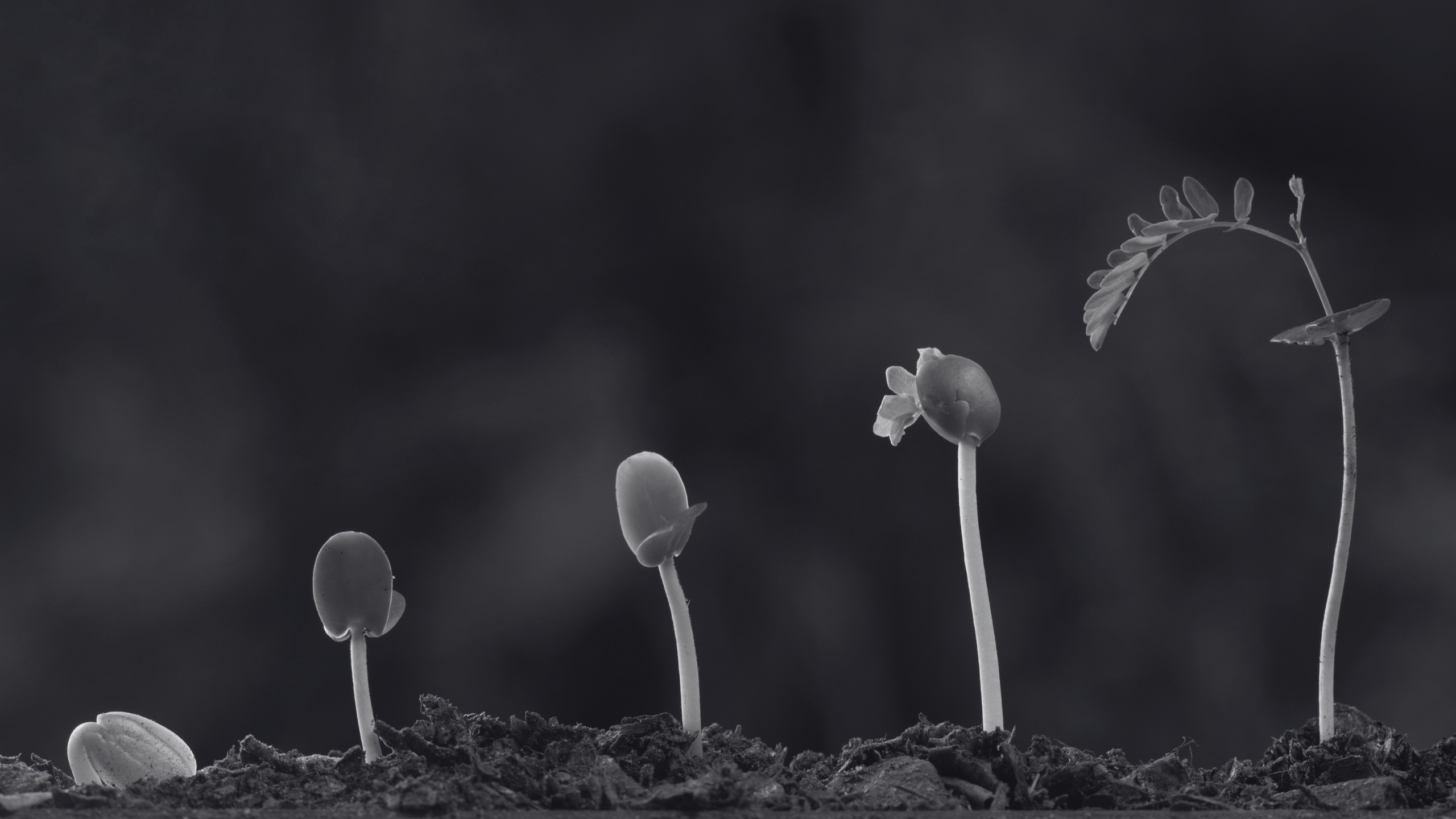 Growth That Creates Lasting Impact.