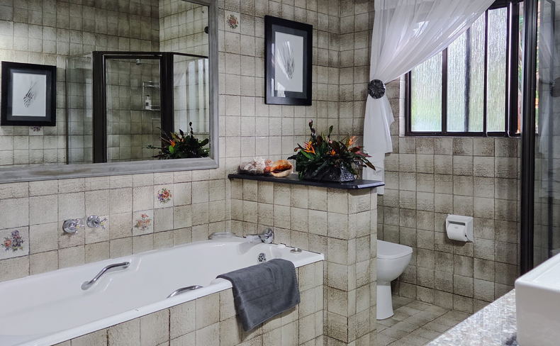 Large Suite