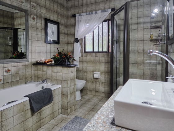 Large Suite