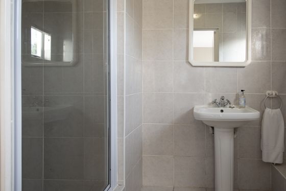 Large Room - Room 3 shower
