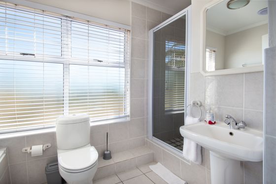 Large Room - Room 1 bathroom shower