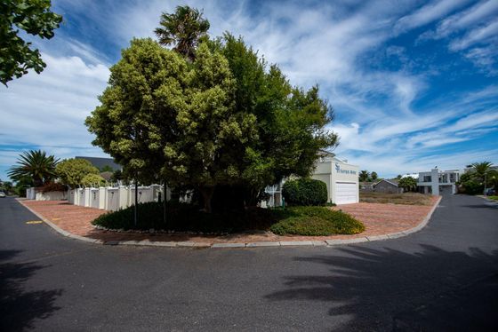 White-walled guest house entrance with a large leafy tree and brick driveway, beside a palm-lined street.