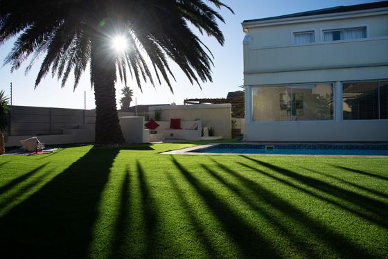 Sunlit lawn with palm tree shadows beside a white house and swimming pool.