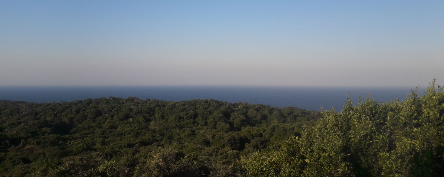 isimangaliso park