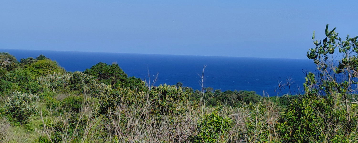 isimangaliso park
