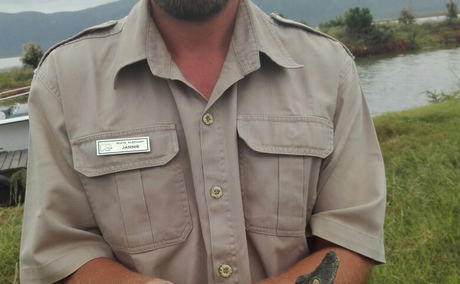 baby nile crocodile baby nile crocodile