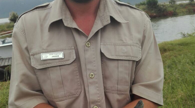 baby nile crocodile