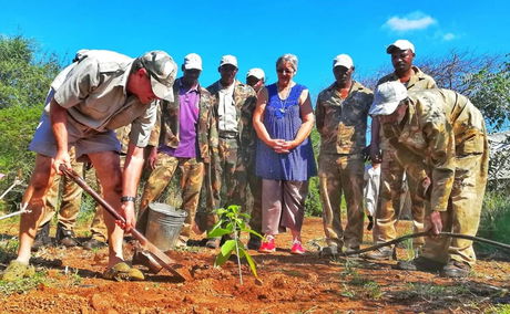 tree planting, save the planet, 