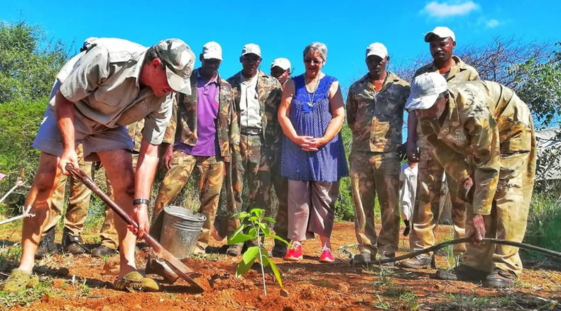 tree planting, save the planet, tree planting, save the planet,