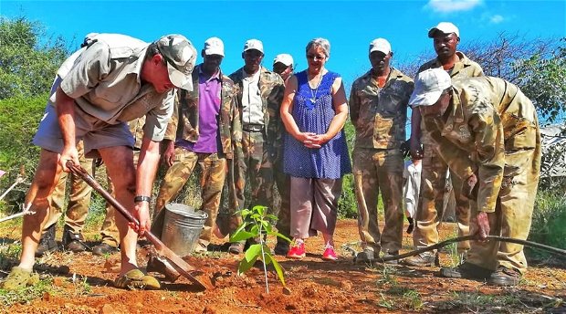 tree planting, save the planet, 