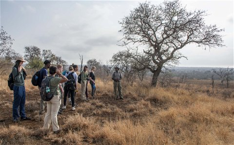nature, bush walk, guided walk, senses,