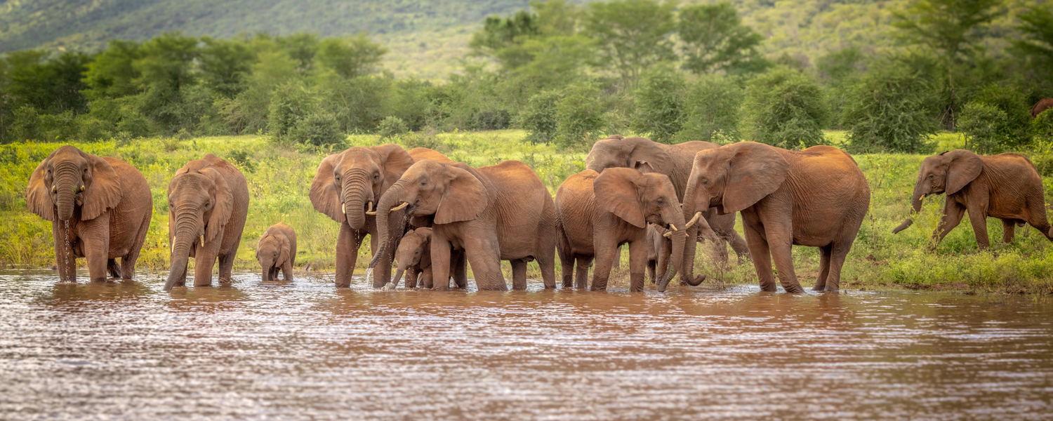 special offer zululand self catering bush accommodation