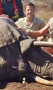 Heike during an elephant mobilization
