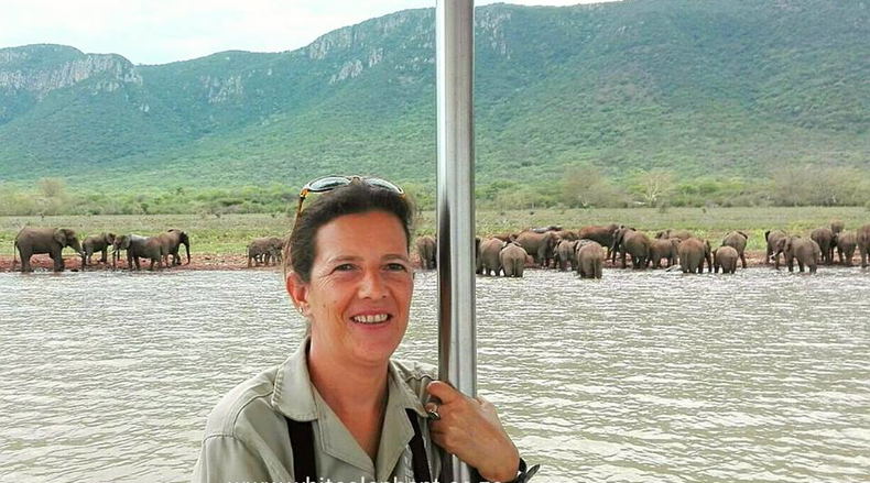Elephants, water, lake, swimming, monitoring Elephants, water, lake, swimming, monitoring