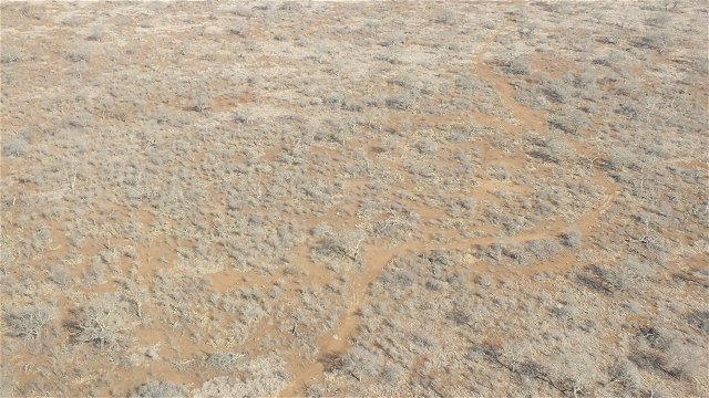 Image 5: After: Veld Condition within the northern PGR / September 2015