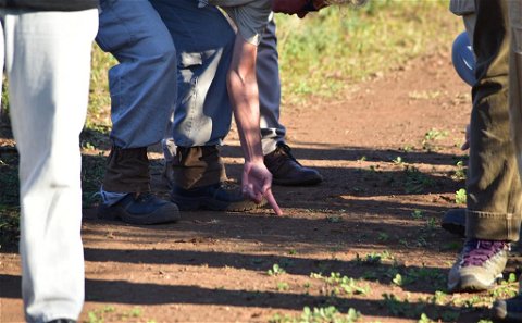 Guided Walk