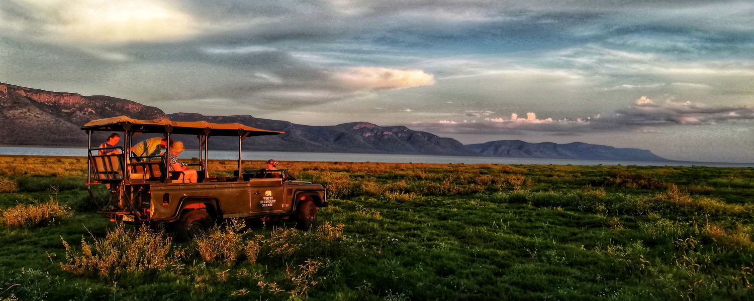 shoreline, white elephant, pongola game reserve, lake jozini, scenic game drive