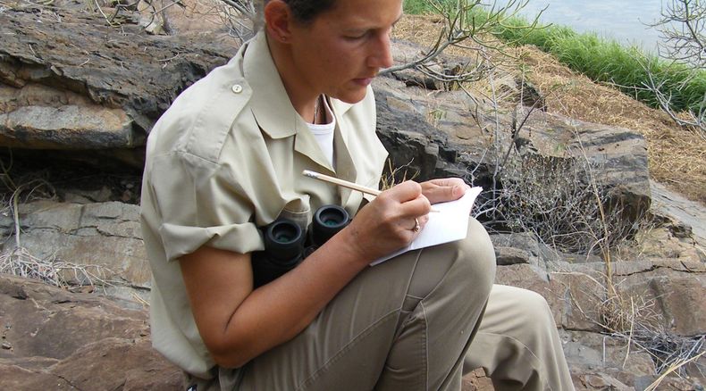 Elephant researcher taking notes Elephant researcher taking notes