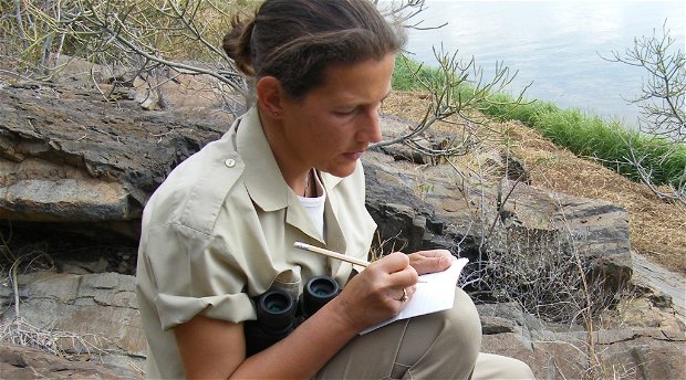 Elephant researcher taking notes Elephant researcher taking notes