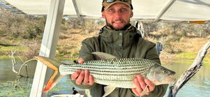 BOOK DIRECT AND SAVE 20%