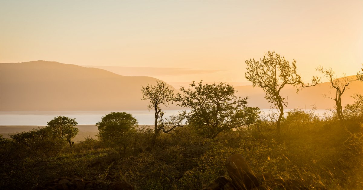 White Elephant Safaris