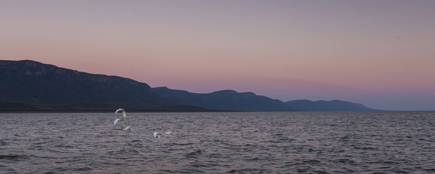 twilight, sunrise, lake, water, birds aflight, 