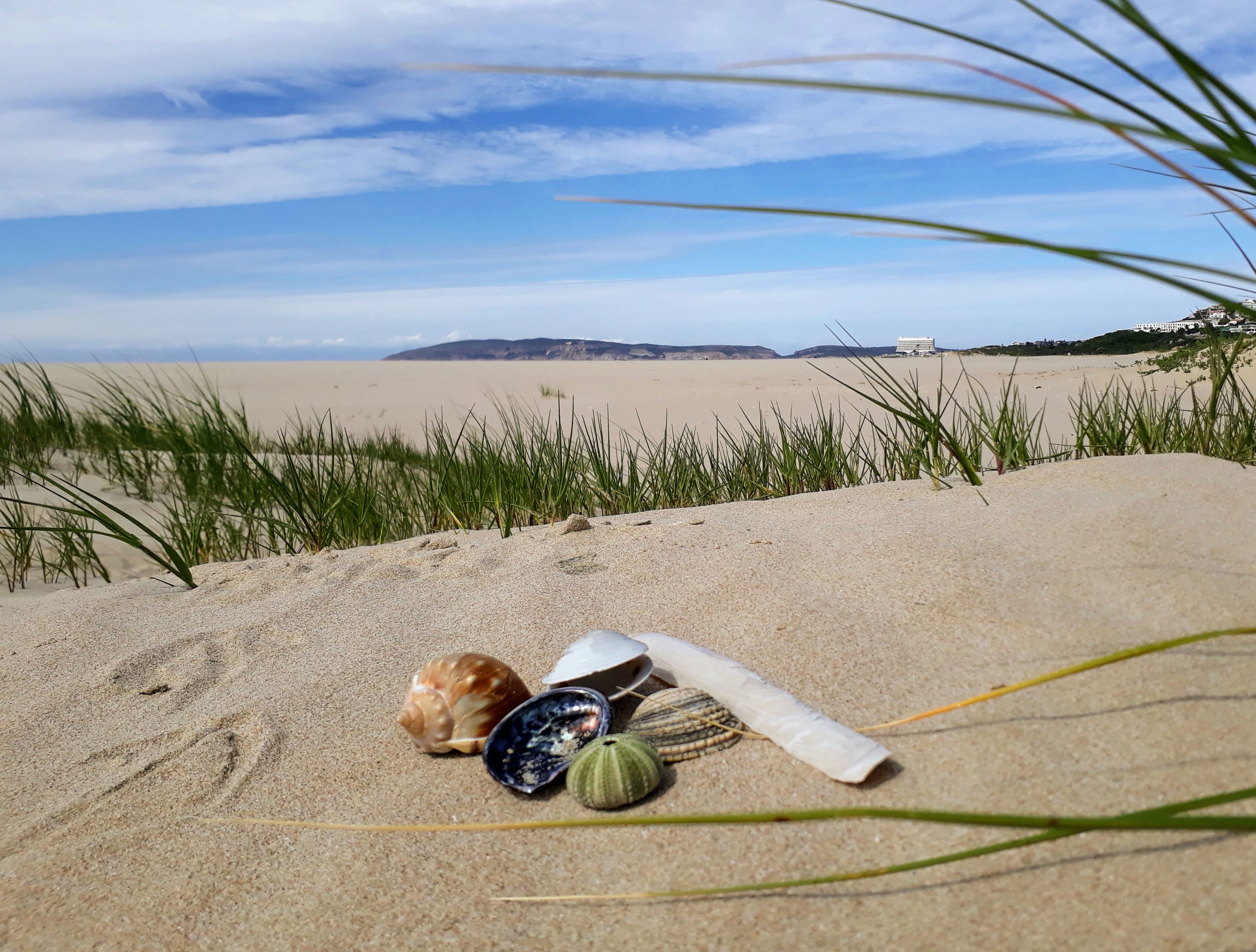 Lookout Beach, Plettenberg Bay, beach walks, sandy beaches, swimming