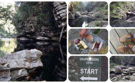 Drupkelders Trail, Knysna Forest, hiking, Knysna tourism, mountain pools, forest hike