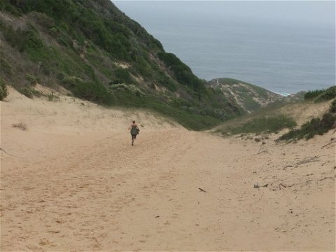 Couldn't resist running down this dune at Robberg Nature Reserve!