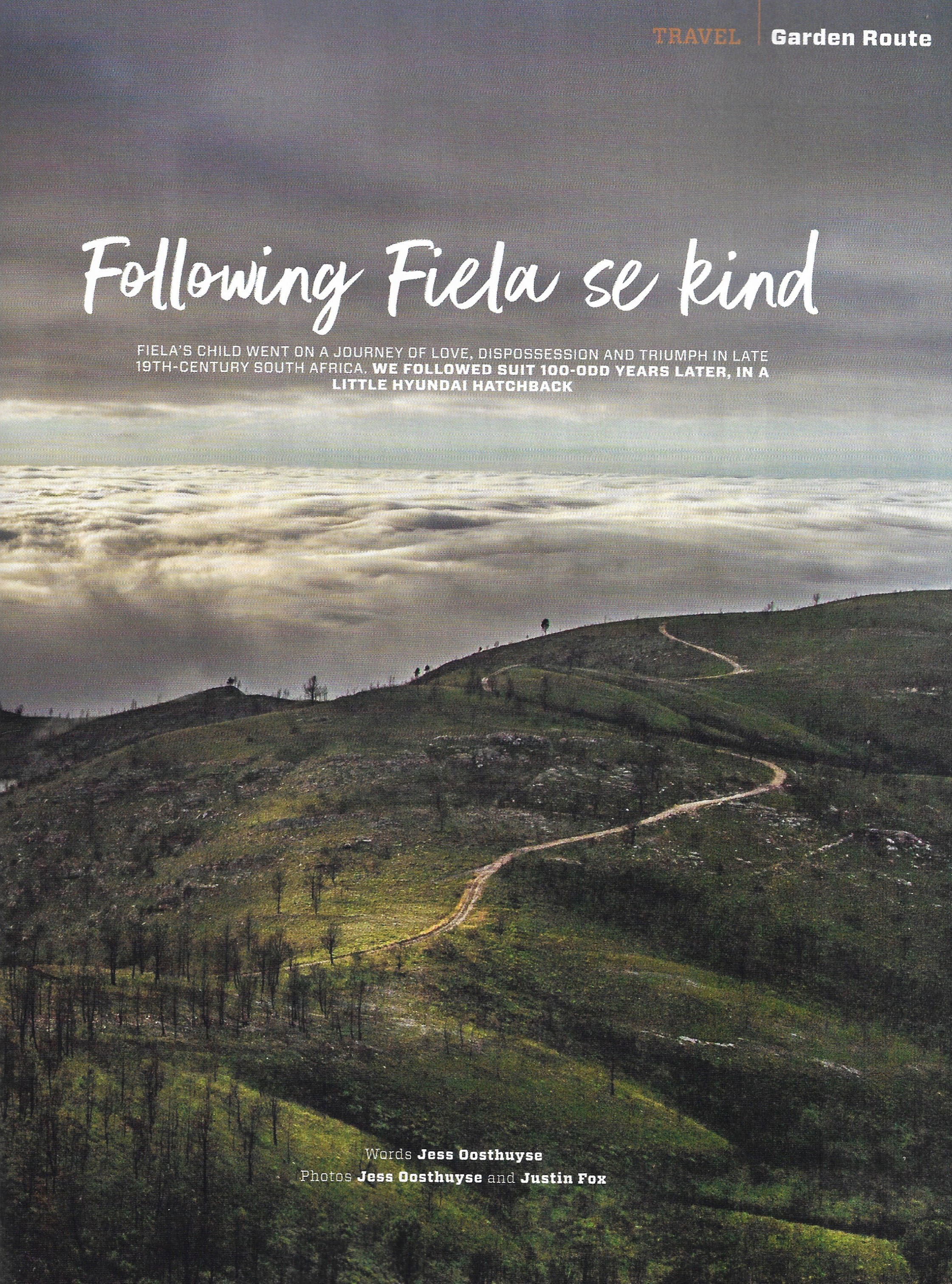fiela se kind, Diepwalle, Knysna, forest, forest people