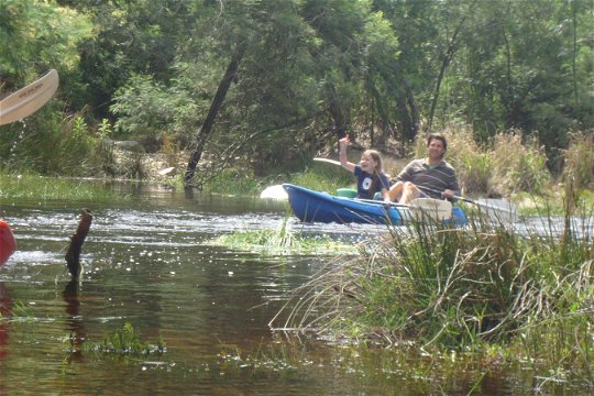Kayaking on the Goukamma River