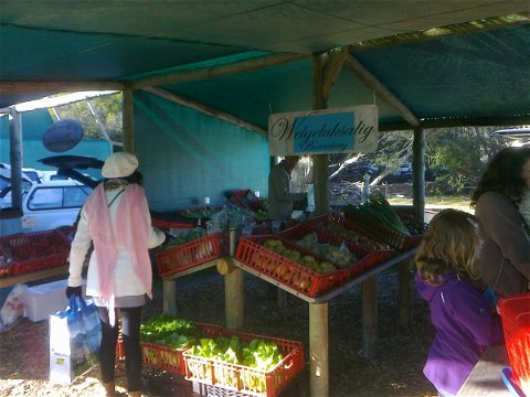 Fresh farm veggies at Wild Oats Market