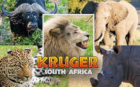 Kruger Park is 58 km from Sabie Self Catering Apartments