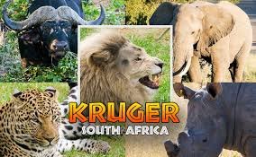 Kruger Park is 58 km from Sabie Self Catering Apartments