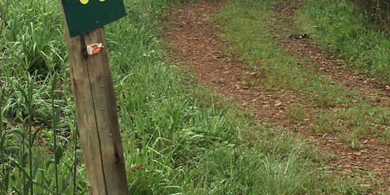 Hiking Trails