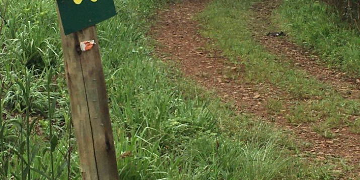Hiking Trails